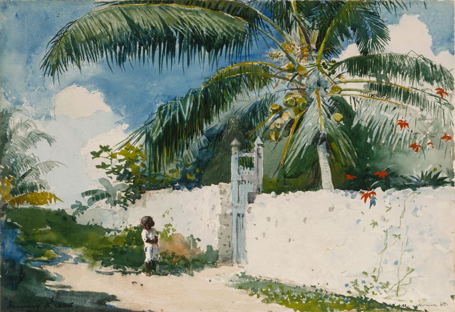 Tropical watercolor painting
